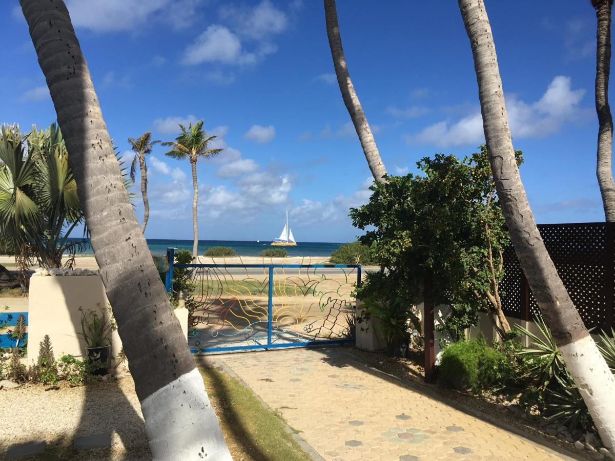Aruba Sunset Beach Studios شاطئ بالم المظهر الخارجي الصورة