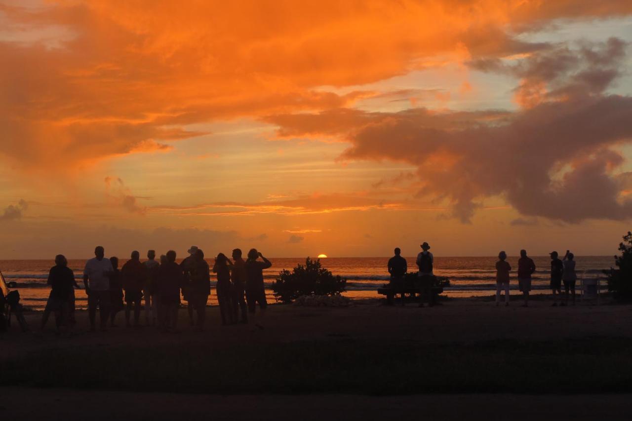 Aruba Sunset Beach Studios شاطئ بالم المظهر الخارجي الصورة