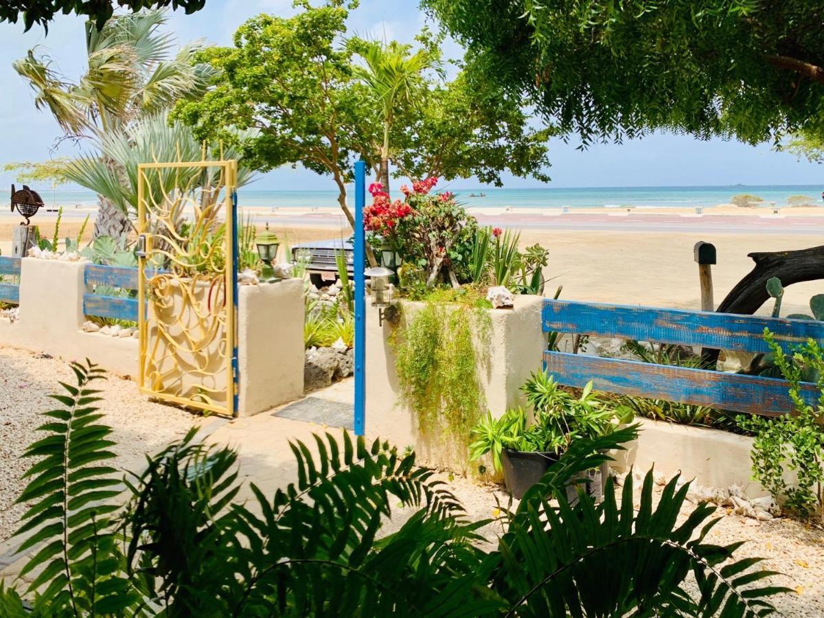 Aruba Sunset Beach Studios شاطئ بالم المظهر الخارجي الصورة