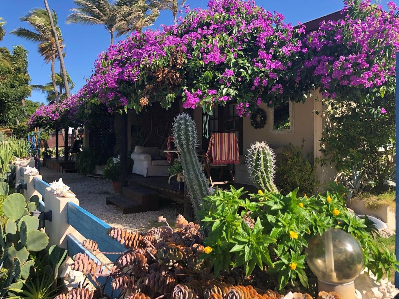 Aruba Sunset Beach Studios شاطئ بالم المظهر الخارجي الصورة